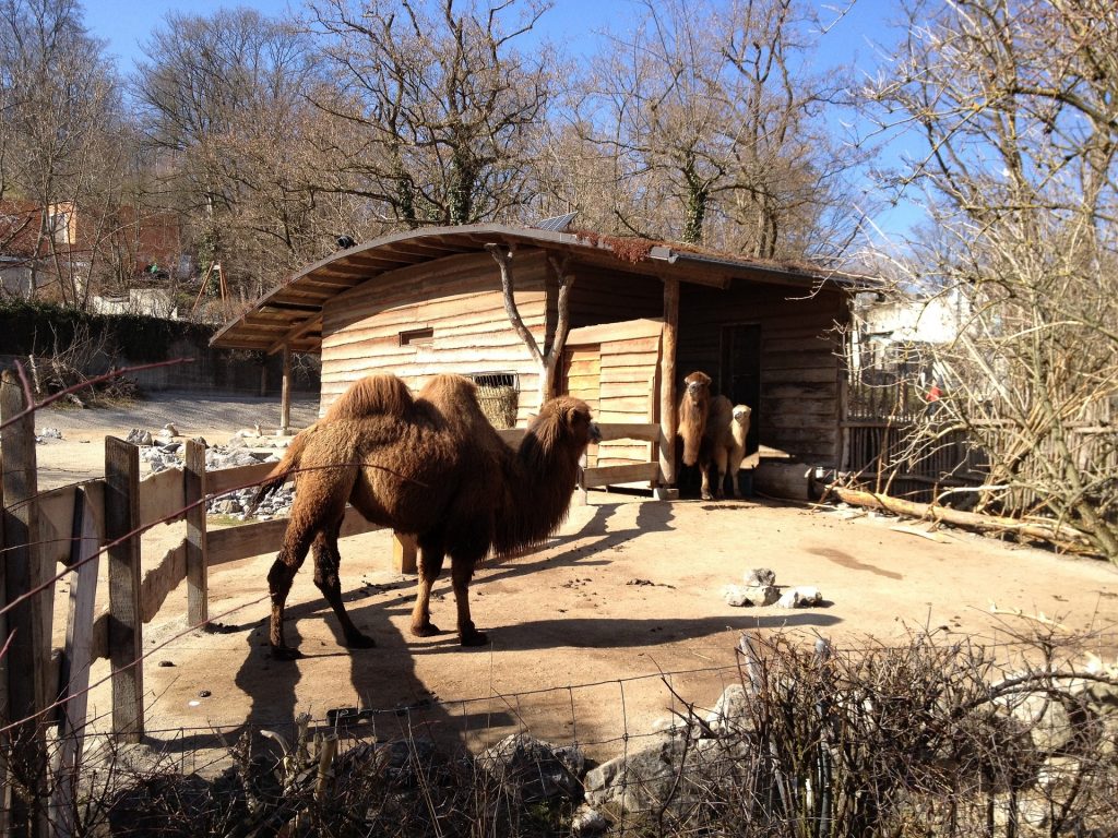 zoo de zurich horaire